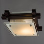 Потолочный светильник Archimede A6462PL-1CK