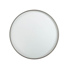Настенно-потолочный светильник Geta Silver 2076/DL