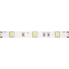 Светодиодная лента LSM 12V 5050 10121